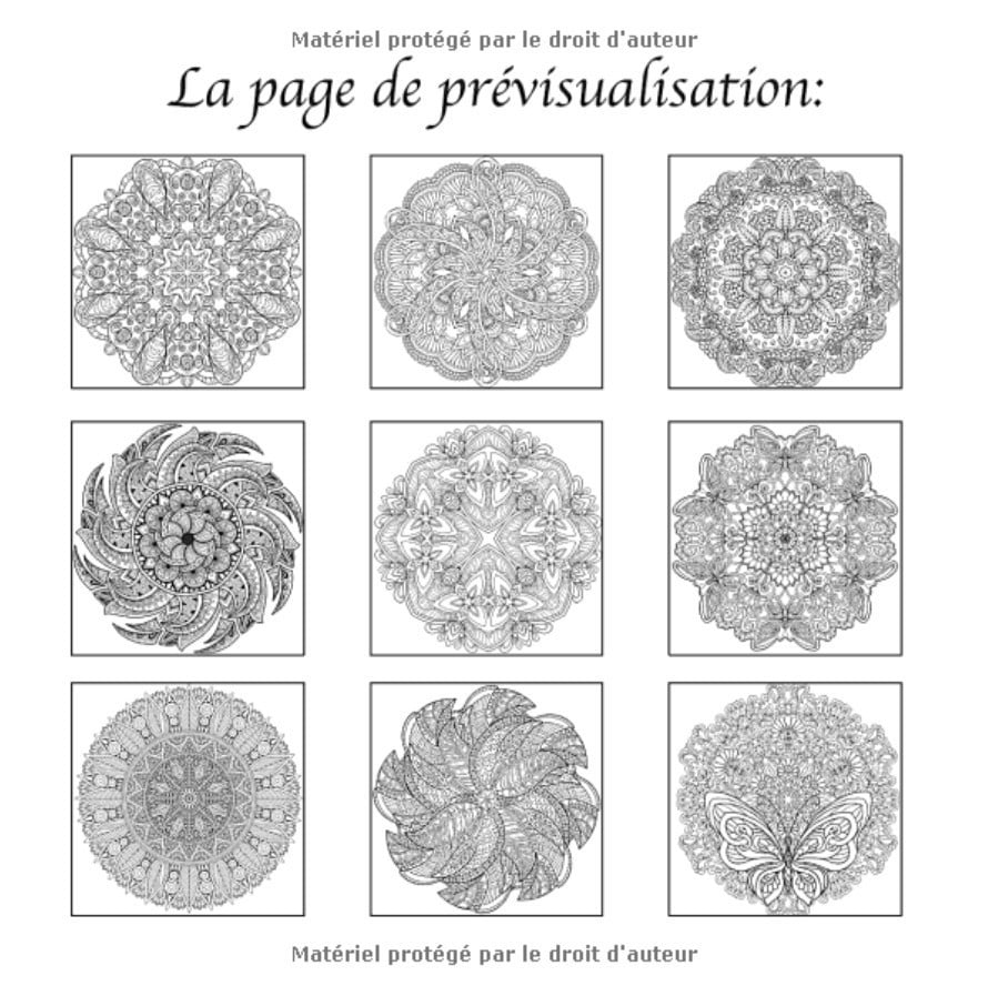 100 Magnifiques Mandalas: Livre de Coloriage pour Adultes - 213 pages Format 21,5 x 21,5 cm