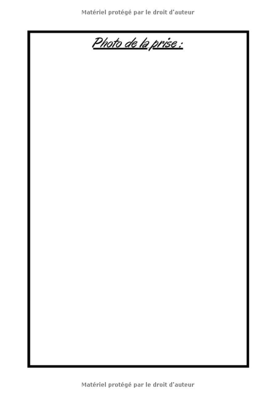 Carnet de pêche à remplir - Cahier à Compléter pour suivre vos Captures | Journal de bord du pêcheur - 80 pages Format 18 x 25 cm