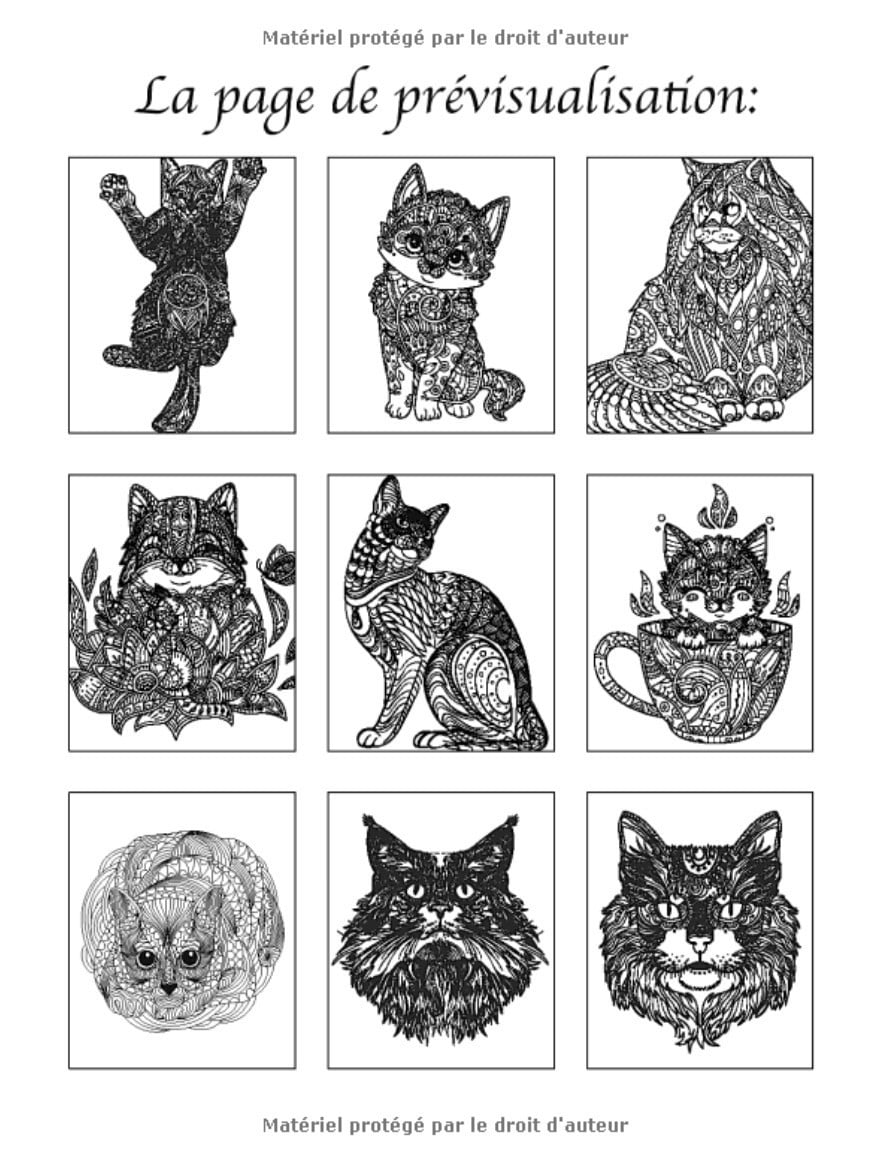 Chats avec Mandalas - Livre de Coloriage pour Adultes : Plus de 50 chats mignons, affectueux et magnifiques - 113 pages Format A4
