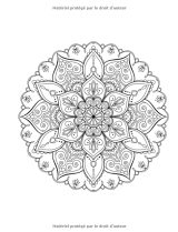 50 Mandalas Anti-stress (Volume 2) Livre de Coloriage pour Adultes : 50 Magnifiques Mandalas à Colorier - 104 pages Format A4