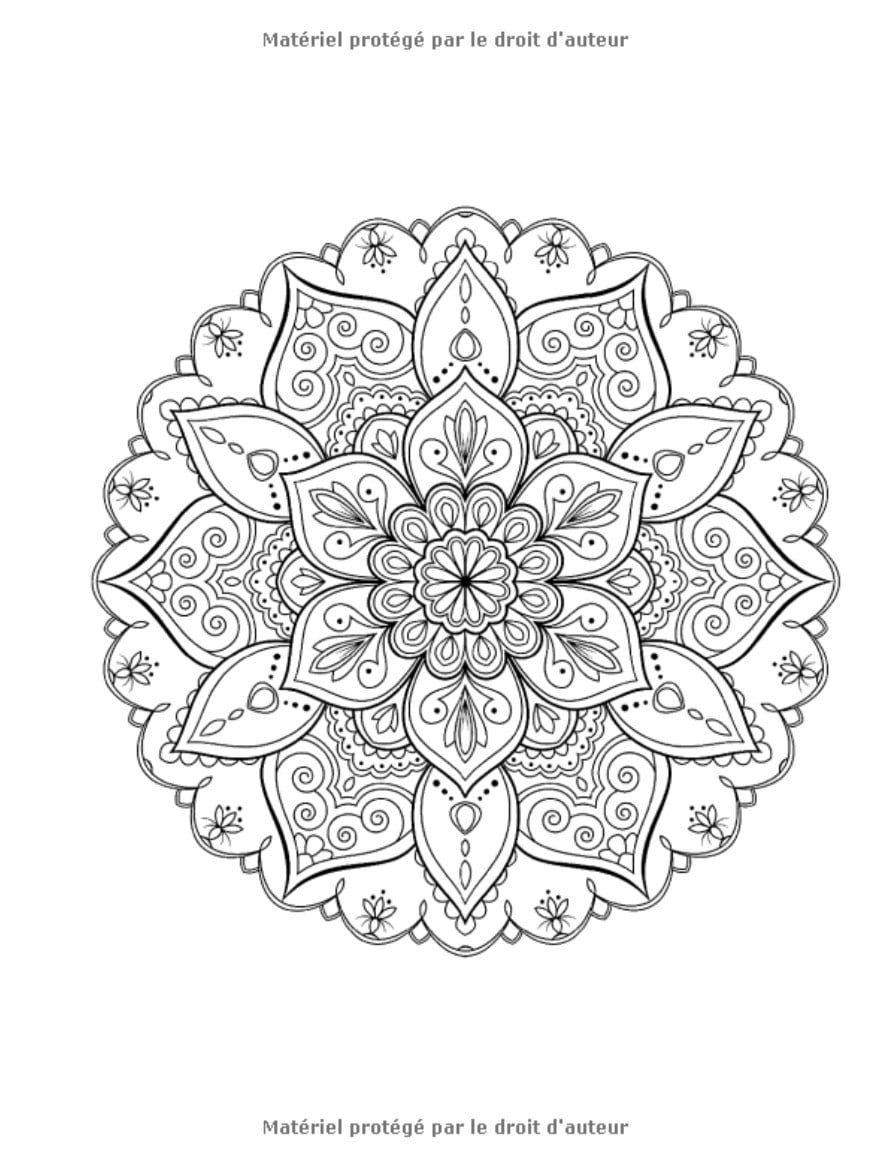 50 Mandalas Anti-stress (Volume 2) Livre de Coloriage pour Adultes : 50 Magnifiques Mandalas à Colorier - 104 pages Format A4