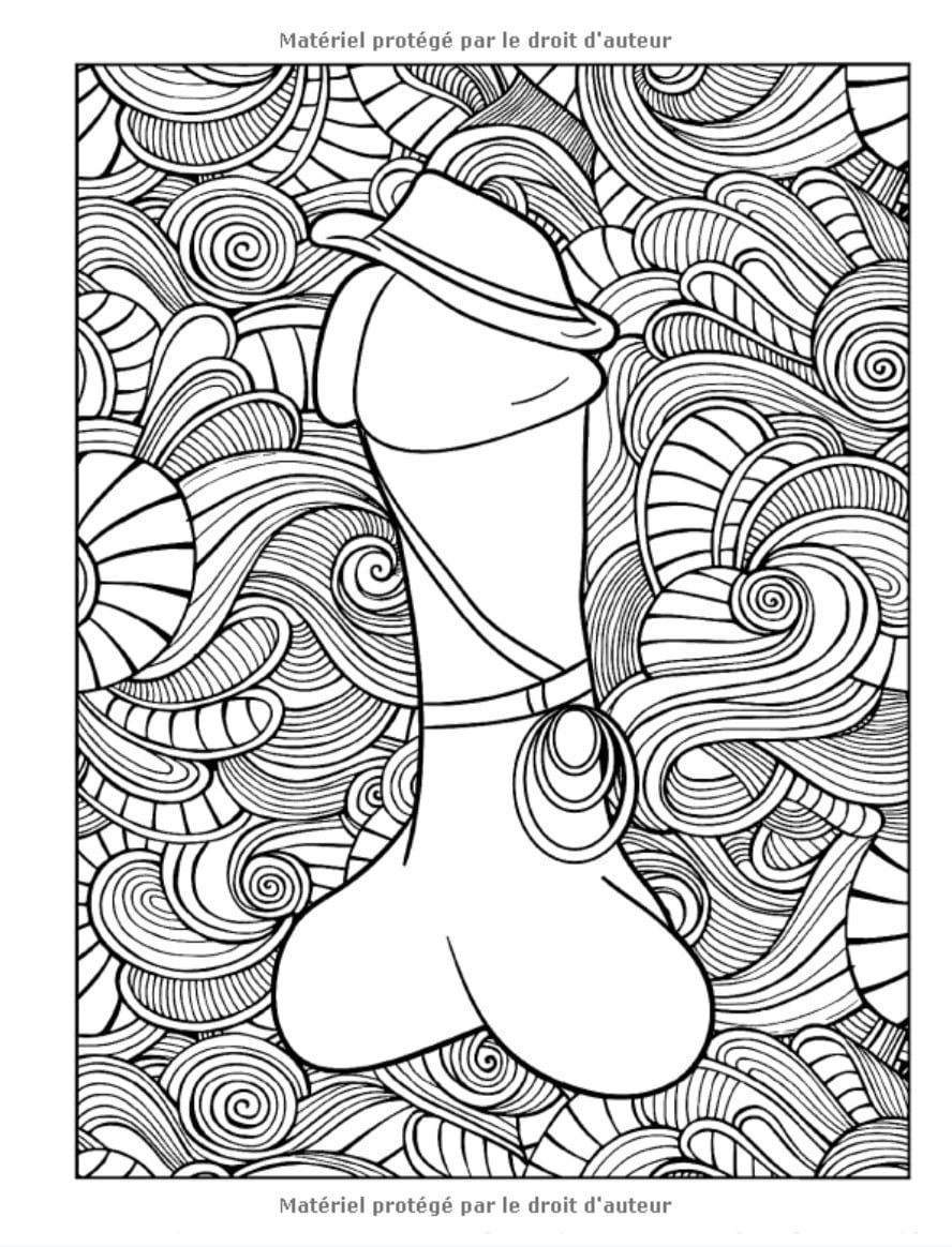 Les pénis : un livre de coloriage pour adultes - 92 pages Format A4