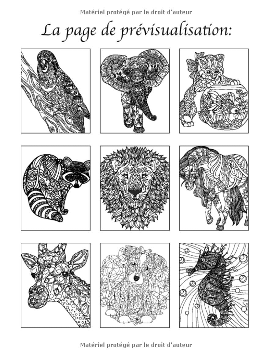 100 Animaux - Livre de Coloriage avec Mandalas - 213 pages Format A4