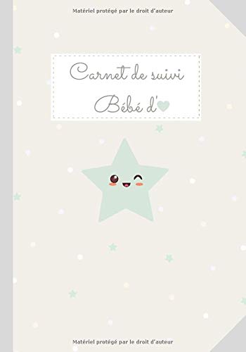 CARNET DE SUIVI BÉBÉ - Journal de bord de bébé - 90 Jours à remplir, du 1er jour à la maternité jusqu'à 3 mois - 93 pages Format 18 x 25 cm