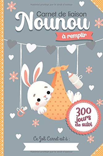 Carnet de liaison Nounou à remplir 300 jours de suivi : Agenda assistante maternelle - parents pour suivre bébé / son enfant jusqu'à un an de garde - 170 pages Format 15 x 22 cm