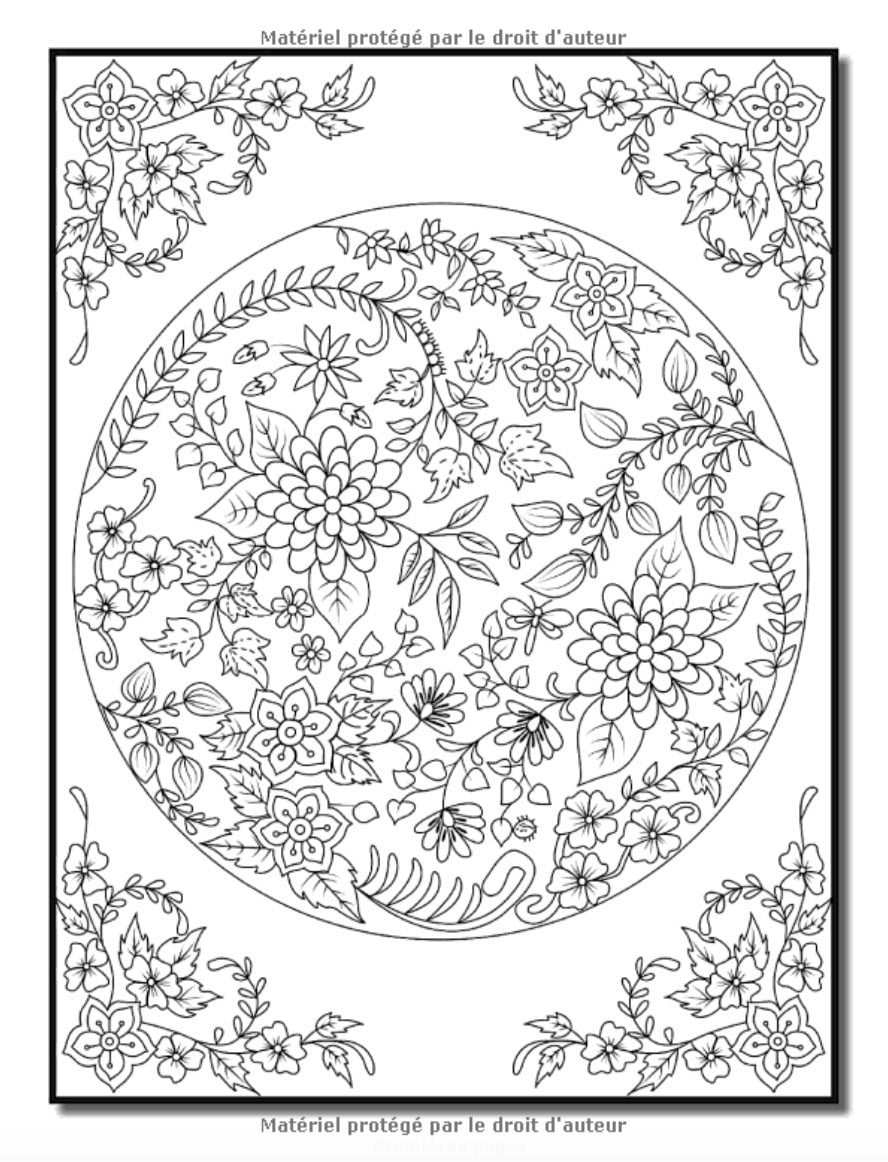 Coloriage Anti-stress : Livre de coloriage adulte anti-stress avec 75 dessins pour adultes - 76 pages Format A4