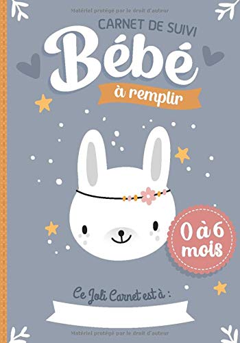 Carnet de Suivi Bébé à remplir 0 à 6 mois : Cahier tout en un pour un suivi quotidien de bébé de son allaitement, de son sommeil et de sa santé | 206 pages Format 18 x 25 cm