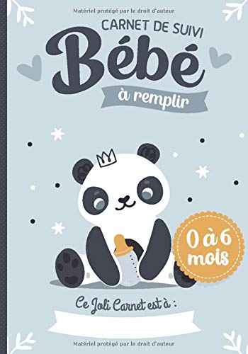 Carnet de Suivi Bébé à remplir 0 à 6 mois : Cahier tout en un pour un suivi quotidien de bébé cadeau idéal future maman | 206 pages Format 18 x 25 cm