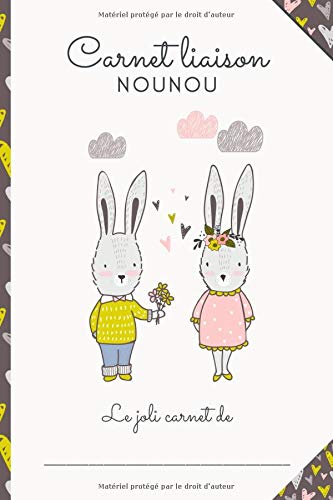 CARNET LIAISON NOUNOU : cahier de transmissions nounou parents pour faciliter la communication au quotidien - 100 pages format 15 x 22 cm