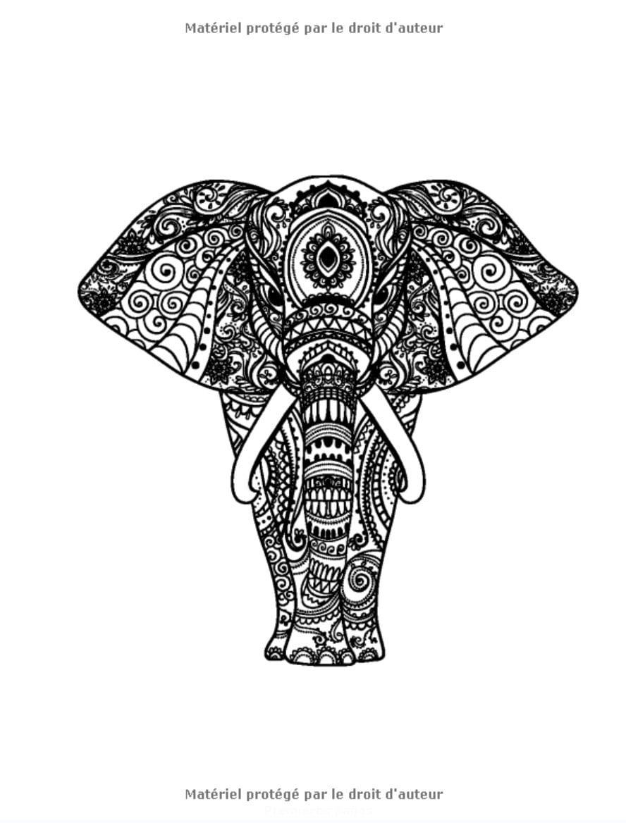 60 Mandalas Animaux (Volume 1) Coloriage Anti-Stress pour Adultes - 123 pages Format A4