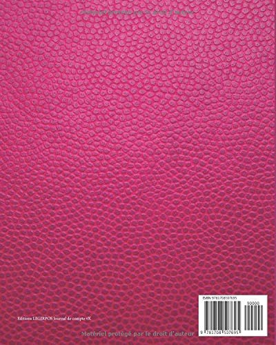 Journal Recettes - Dépenses: Registre auto entrepreneur, livre de compte auto entrepreneur, chronologique | Conforme aux obligations comptables | 101 pages Format 20 x 25 cm