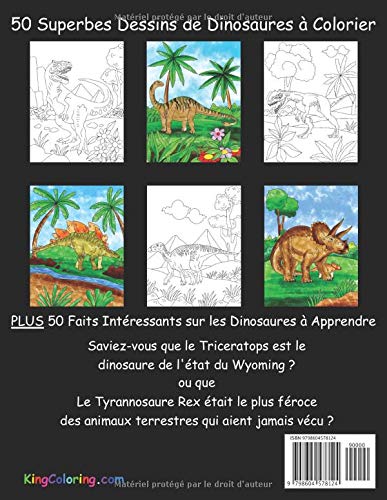 Livre De Coloriages Dinosaures Pour Enfants - 105 pages Format A4