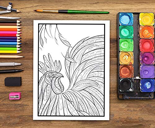 Livre De Coloriage Pour Adultes Nature Sauvage : 35 pages à colorier (poissons, hiboux, cerfs, lamas, paresseux) relaxation et soulagement stress - Format 21,5 x 28 cm