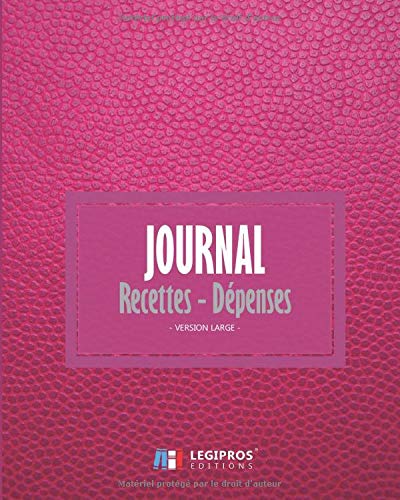 Journal Recettes - Dépenses: Registre auto entrepreneur, livre de compte auto entrepreneur, chronologique | Conforme aux obligations comptables | 101 pages Format 20 x 25 cm