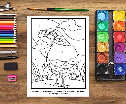 Coloriage par numéros pour enfants : Cahier d'activités : 50 pages à colorier sur le thème des animaux pour les 3-10 ans / 104 pages Format 21,5 x 28 cm