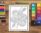 Livre De Coloriage Pour Adultes Nature Sauvage : 35 pages à colorier (poissons, hiboux, cerfs, lamas, paresseux) relaxation et soulagement stress - Format 21,5 x 28 cm