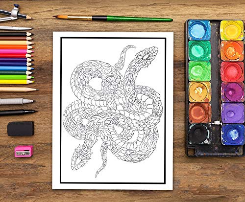 Livre De Coloriage Pour Adultes Nature Sauvage : 35 pages à colorier (poissons, hiboux, cerfs, lamas, paresseux) relaxation et soulagement stress - Format 21,5 x 28 cm