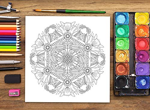 Mandalas : Livre De Coloriage Pour Adultes - 106 pages Format 21,5 x 21,5 cm