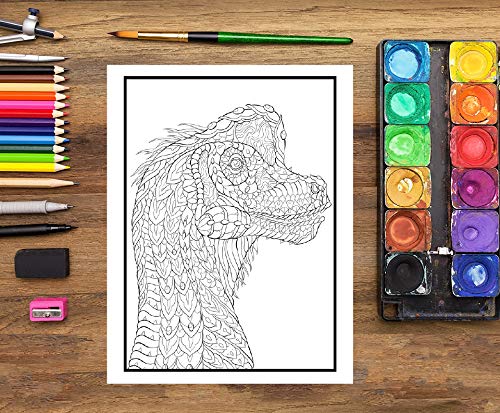 Dinosaures : Livre de coloriage sauvage pour adultes - 30 coloriages - Format A4