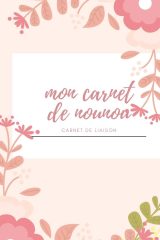 Mon carnet de nounou carnet de liaison: carnet de correspondance I assistante maternelle agenda I agenda bebe nounou - 121 pages Format 15 x 22 cm