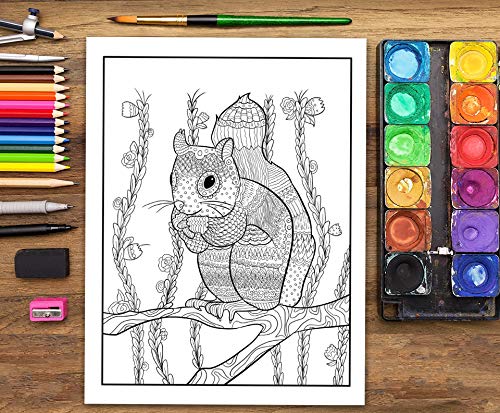 Folklorique : Livre De Coloriage Pour Adultes : Coloriages au style folk - 68 pages Format A4