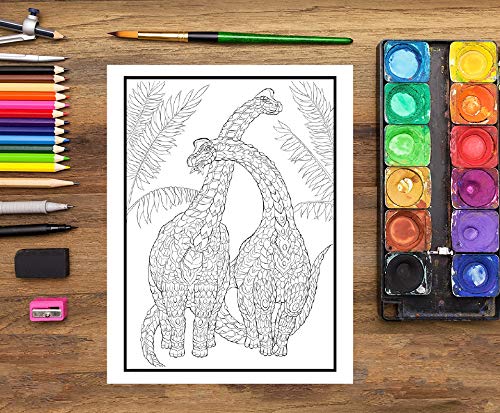 Dinosaures : Livre de coloriage sauvage pour adultes - 30 coloriages - Format A4