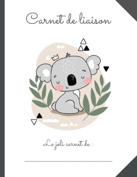 CAHIER DE LIAISON PARENT - ASSISTANT(E)-MATERNEL(LE) - CRECHE - MAM: 1 AN DE SUIVI : 165 pages Format 17 x 22 cm