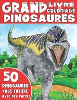 Livre De Coloriages Dinosaures Pour Enfants - 105 pages Format A4