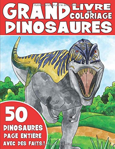 Livre De Coloriages Dinosaures Pour Enfants - 105 pages Format A4