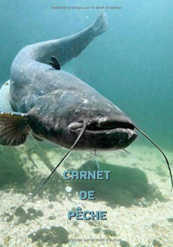 Carnet de pêche : Silure - 101 pages - Format 18 x 25 cm - Carnet à remplir pour les pêcheurs