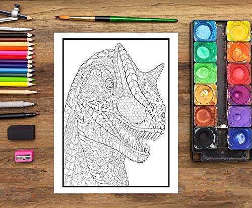 Dinosaures : Livre de coloriage sauvage pour adultes - 30 coloriages - Format A4