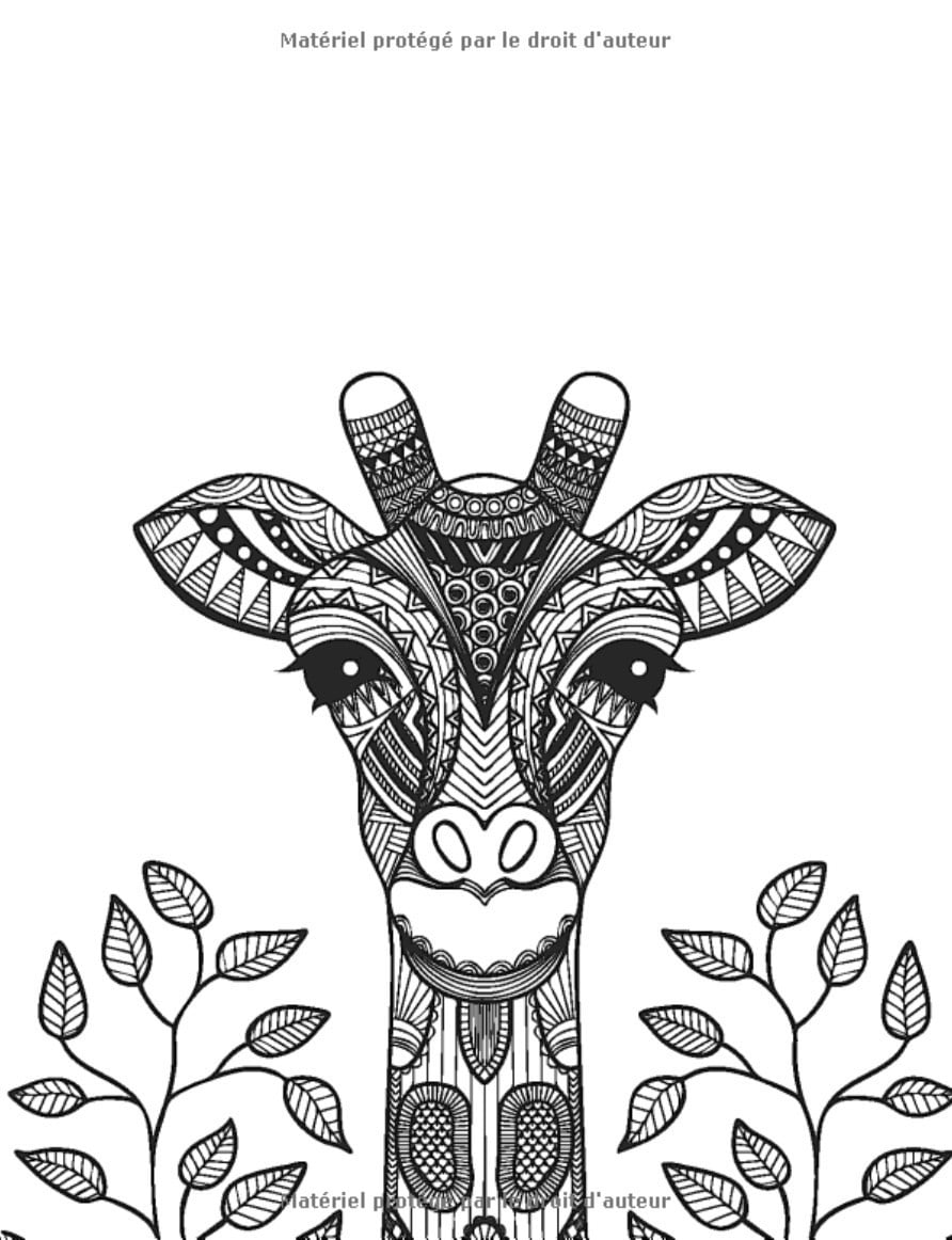 Livre de coloriages Animaux pour adultes - 100 Mandala - 205 pages Format A4