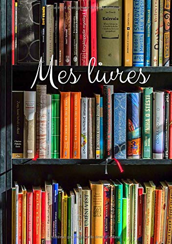 Mes livres : Mon carnet de lecture - 110 pages Format 14 x 21 cm