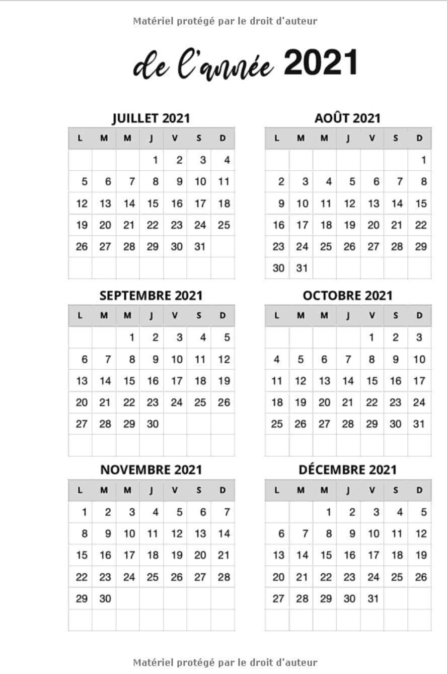 Agenda 2021 - Agenda humoristique semainier - 145 pages Format 15 x 22 cm