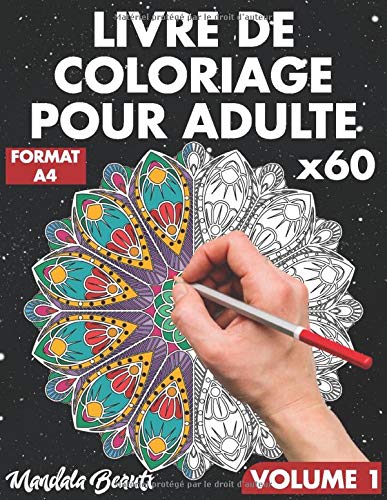 Livre de coloriage pour adulte : 60 mandalas pour la réduction du stress au format A4 / 124 pages