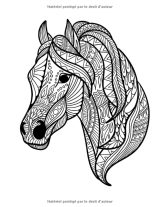 Livre coloriage Mandalas animaux - 50 dessins animaux pour enfants de 8 ans et plus - 105 pages Format A4