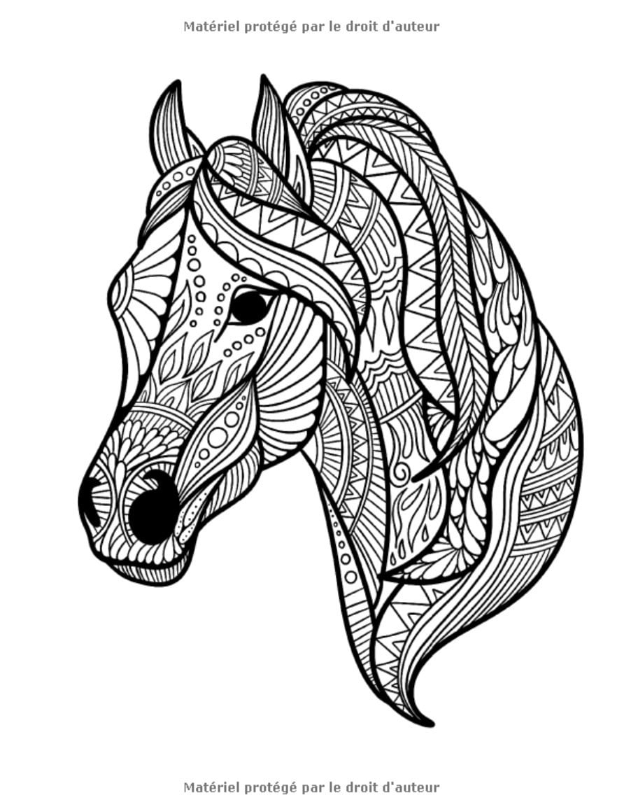 Livre coloriage Mandalas animaux - 50 dessins animaux pour enfants de 8 ans et plus - 105 pages Format A4