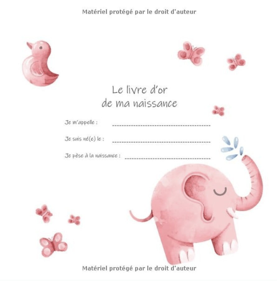 Le Livre d'Or de ma Naissance - Je suis une fille : Livre d'or naissance fille | 100 pages Format 21 x 21 cm