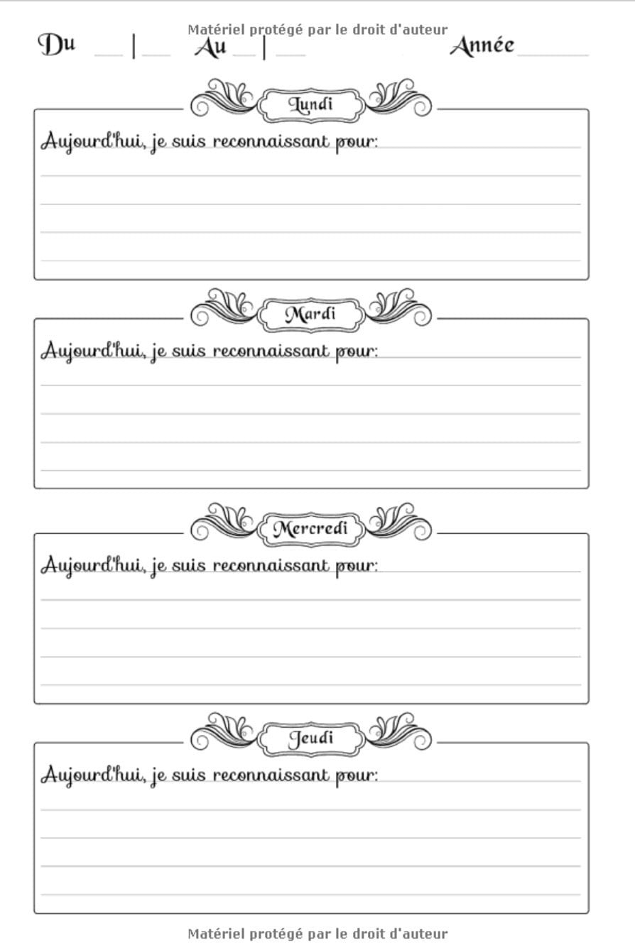 journal de gratitude 52 semaines pour valoriser ses émotions positives : chassez les idée négatives | 106 pages Format 15 x 22 cm