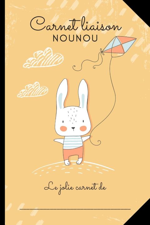 CARNET LIAISON NOUNOU : Cahier de transmission nounou/parents pour facilité la communication au quotidien - 100 pages Format 15 x 22 cm