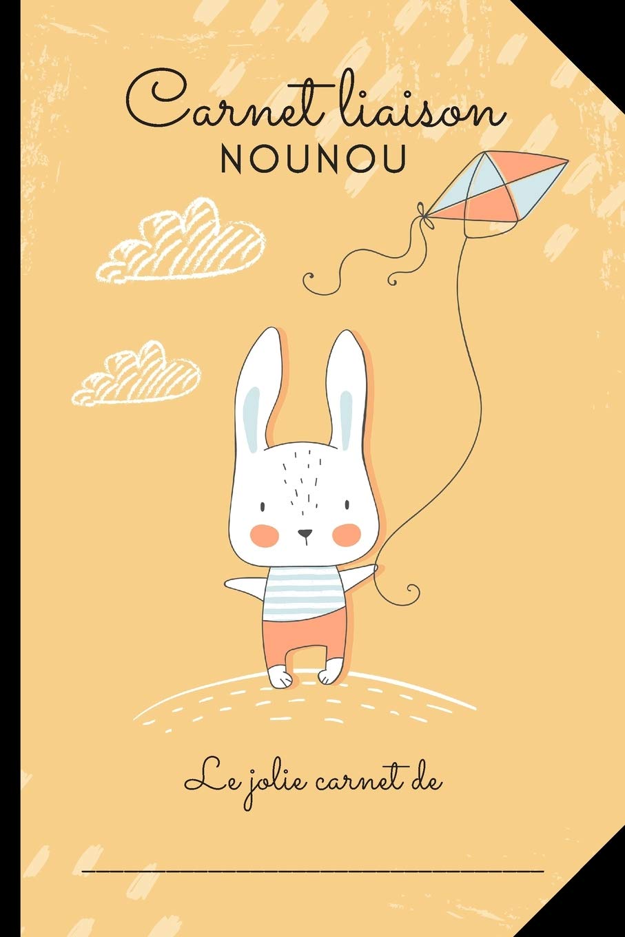 CARNET LIAISON NOUNOU : Cahier de transmission nounou/parents pour facilité la communication au quotidien - 100 pages Format 15 x 22 cm