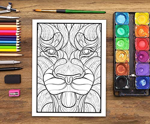 Livre De Coloriage Pour Adultes Nature Sauvage : 35 pages à colorier (poissons, hiboux, cerfs, lamas, paresseux) relaxation et soulagement stress - Format 21,5 x 28 cm