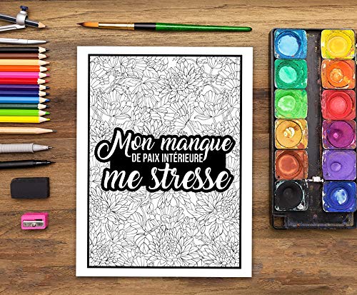 Vie aux RH : Un livre de coloriage sarcastique pour adultes : 50 pages à colorier drôles pour les employés des Ressources Humaines pour se détendre et se soulager du stress - 104 pages Format A4