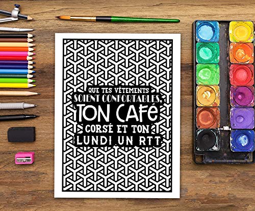 Vie d’assistants sociaux : Un livre de coloriage sarcastique pour adultes: Un livre anti-stress pour les étudiants en assistance de service social et en carrières sociales - 108 pages Format A4