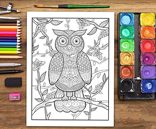 Folklorique : Livre De Coloriage Pour Adultes : Coloriages au style folk - 68 pages Format A4