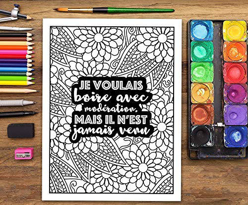Livre de coloriage décalé pour adultes - 76 pages Format A4