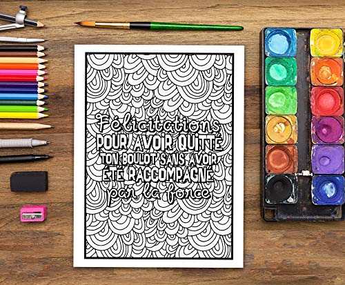 Vie à la retraite : Un livre de coloriage sarcastique pour adultes : Un livre anti-stress drôle, original et décalé pour retraités et pensionnés - 92 pages Format A4