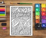 Vie de comptable : Livre de coloriage sarcastique pour adultes, anti-stress pour comptables, conseillers fiscaux et experts comptables - 106 pages Format A4