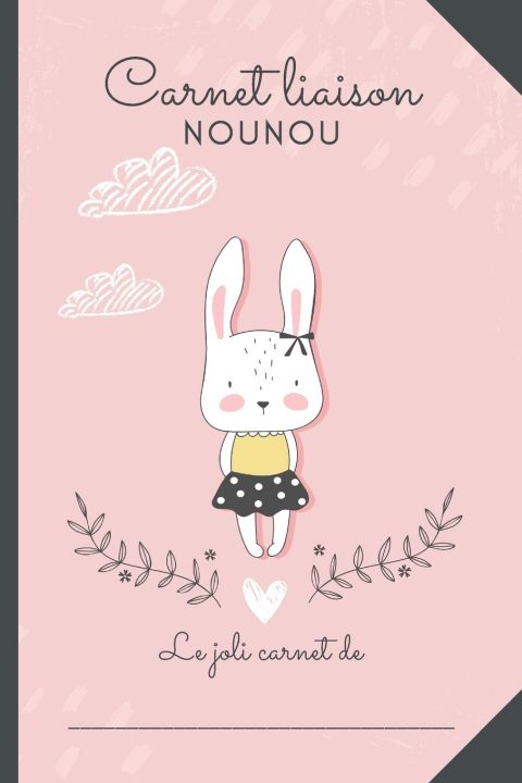 CARNET LIAISON NOUNOU : cahier de transmissions nounou parents pour faciliter la communication au quotidien - 100 pages Format 15 x 22 cm
