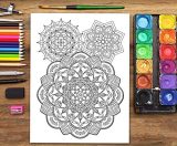 Mandalas Pour Méditer : Livre De Coloriage Pour Adultes - 66 pages Format A4